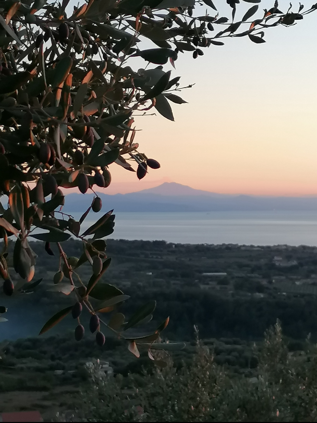 Dalla terra all’olio OLEIFICIO ROSSI