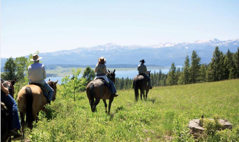 A cavallo tra mare e montagna - Foto 1