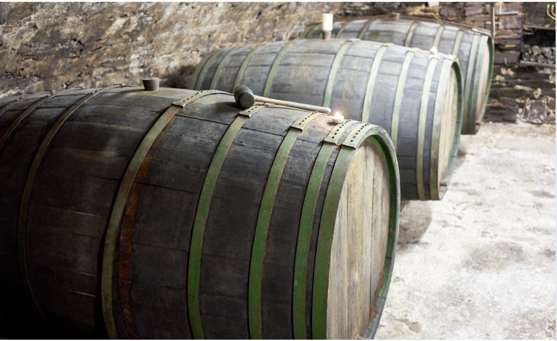 Azienda vinicola - Foto 2