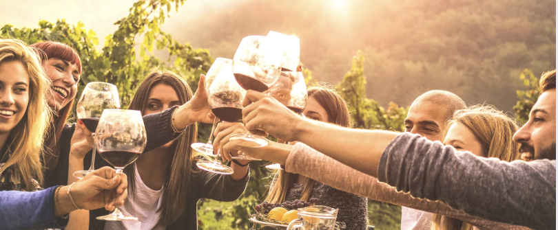 Azienda vinicola - Foto 4