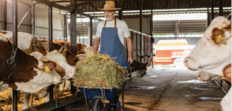 Caseificio Le Vie del Latte - Foto 2