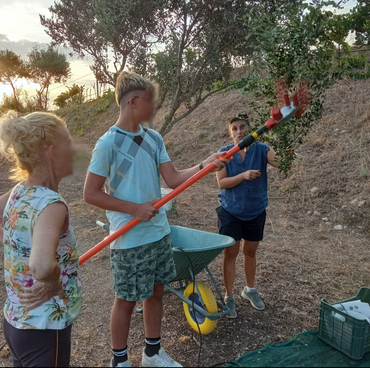 Dalla terra all’olio OLEIFICIO ROSSI - Foto 1