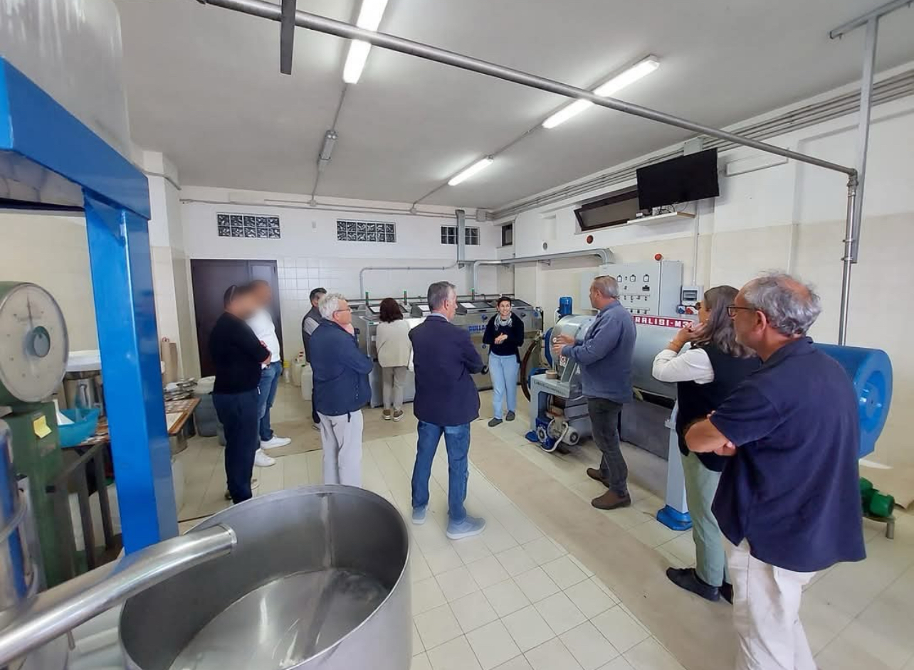 Dalla terra all’olio OLEIFICIO ROSSI - Foto 2