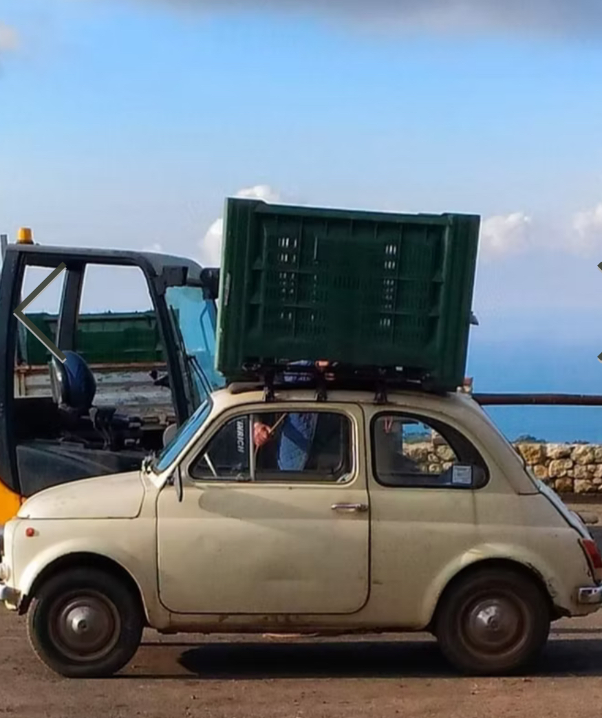 Dalla terra all’olio OLEIFICIO ROSSI - Foto 4