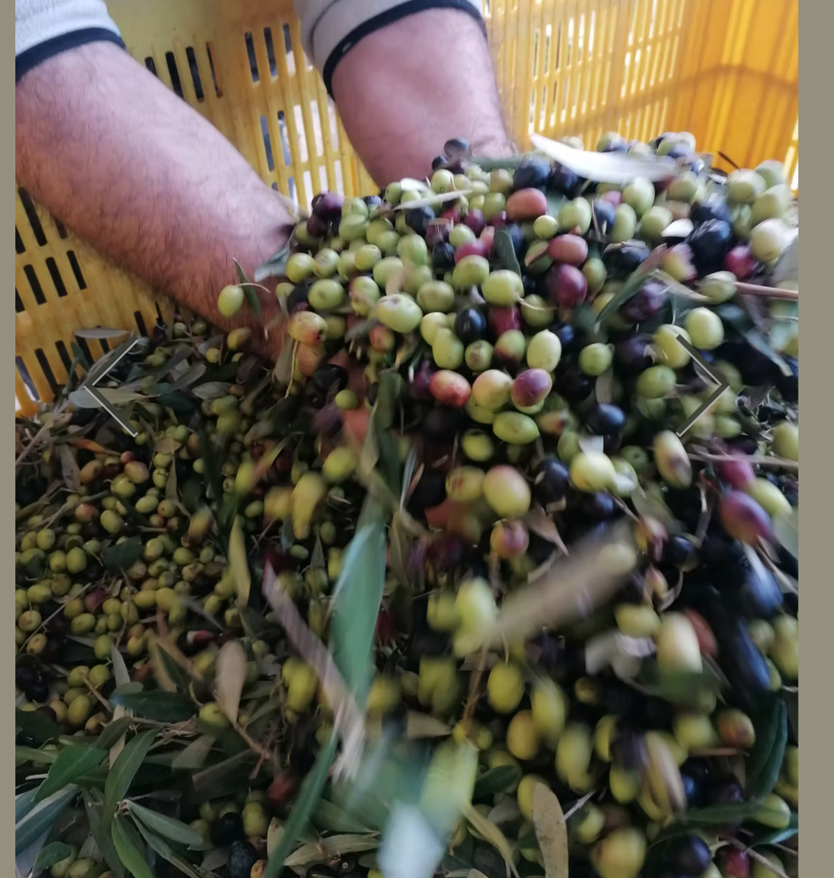 Dalla terra all’olio OLEIFICIO ROSSI - Foto 5