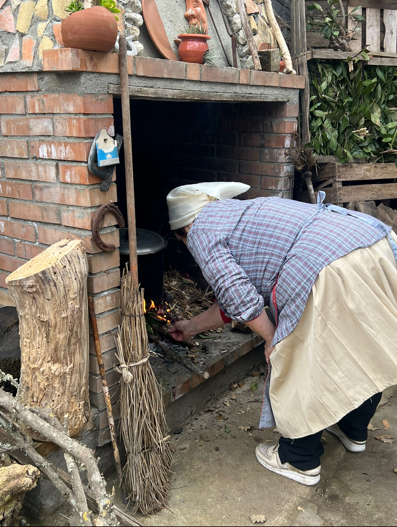 Asfalantea – la Calabria contadina della Costa Degli Dri - Foto 4