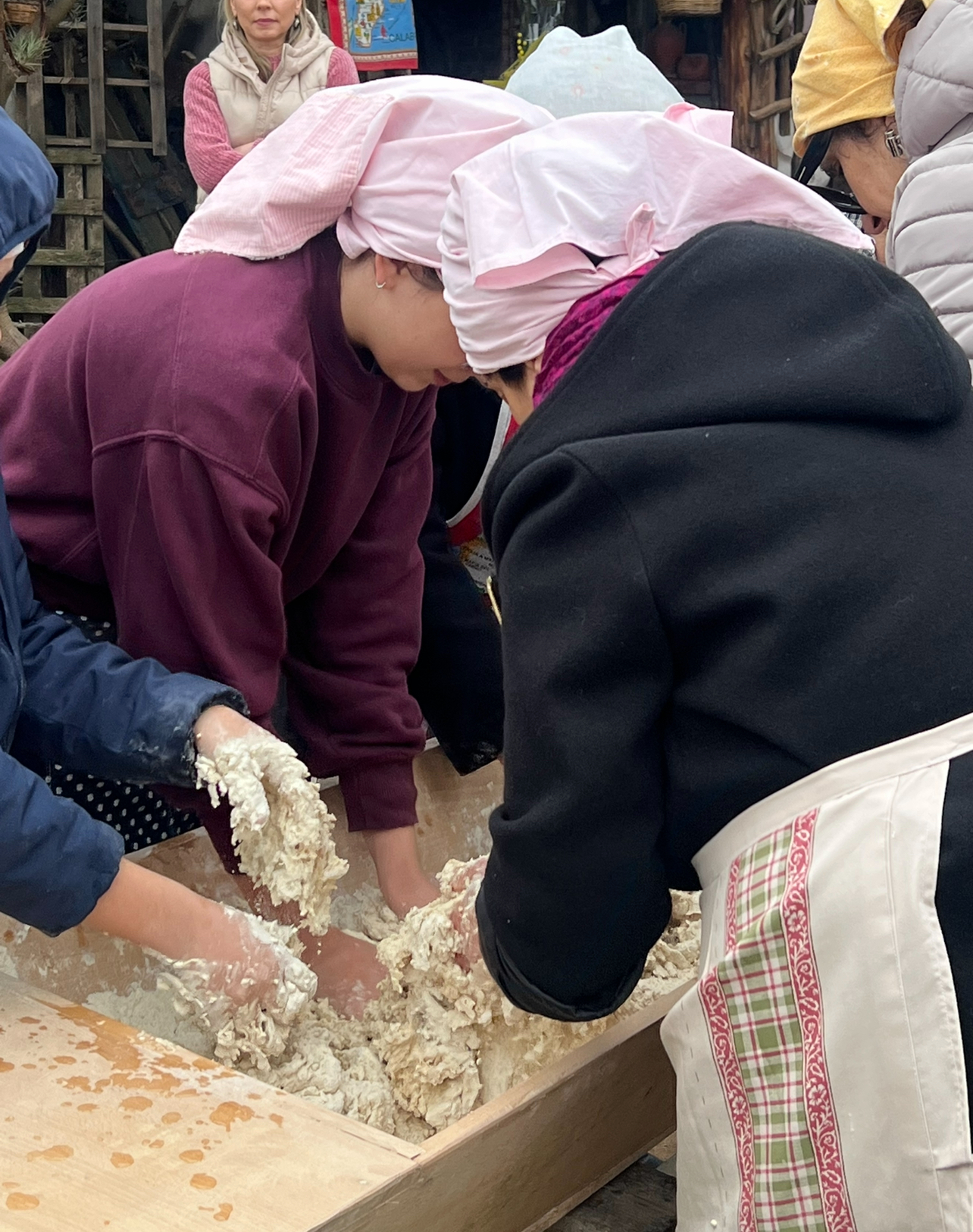Asfalantea – la Calabria contadina della Costa Degli Dri - Foto 5