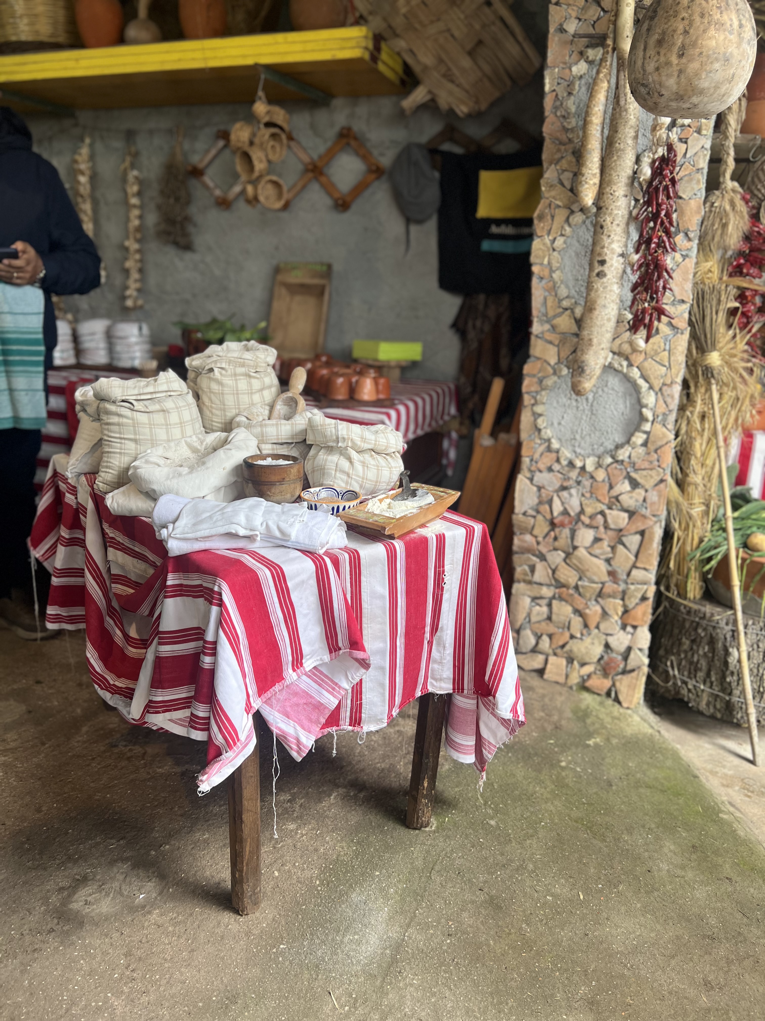 Asfalantea – la Calabria contadina della Costa Degli Dri - Foto 6