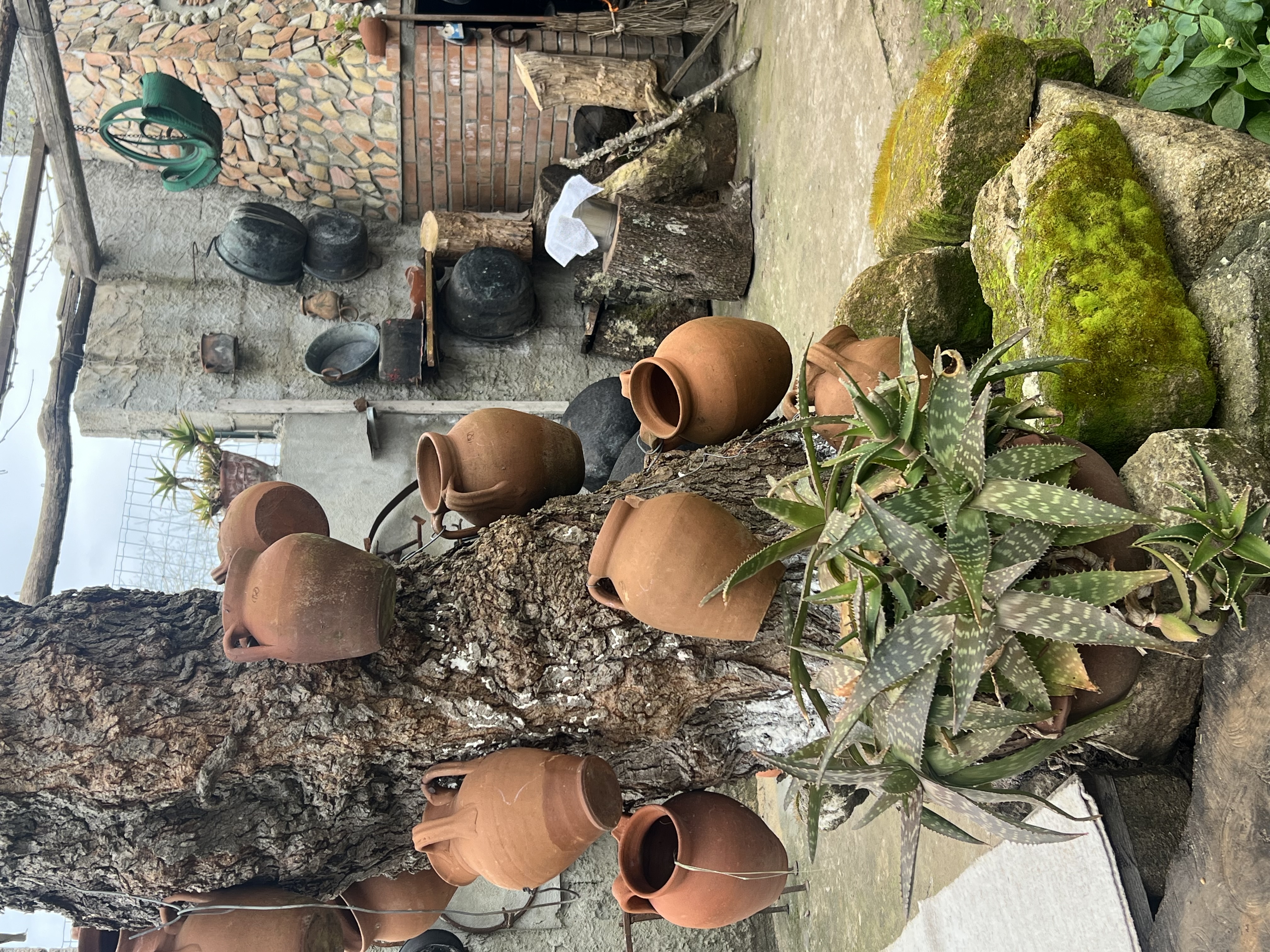 Asfalantea – la Calabria contadina della Costa Degli Dri - Foto 8